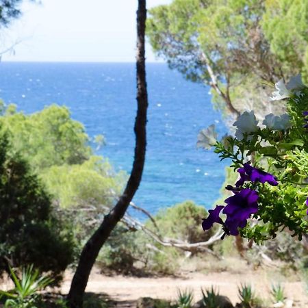 Villa Buonumore Porto Pino Esterno foto