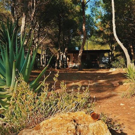 Villa Buonumore Porto Pino Esterno foto