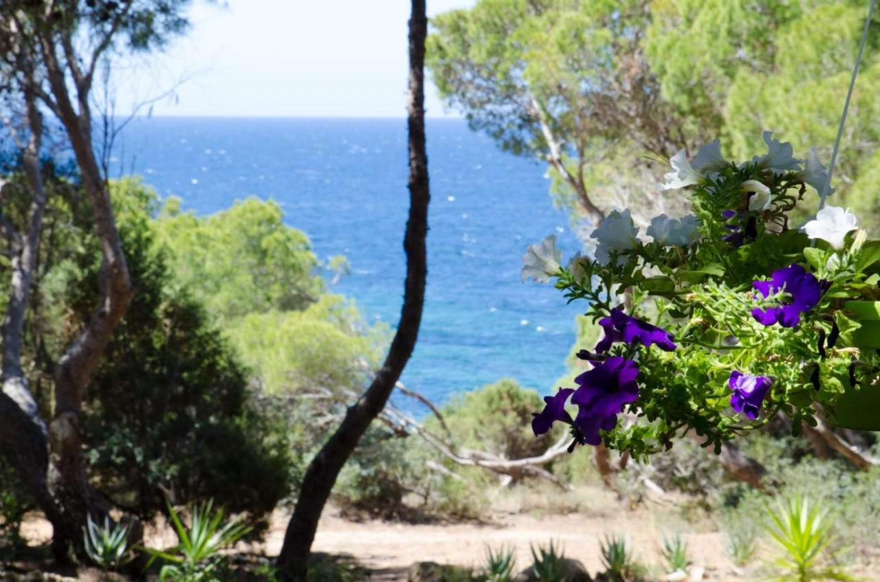 Villa Buonumore Porto Pino Esterno foto