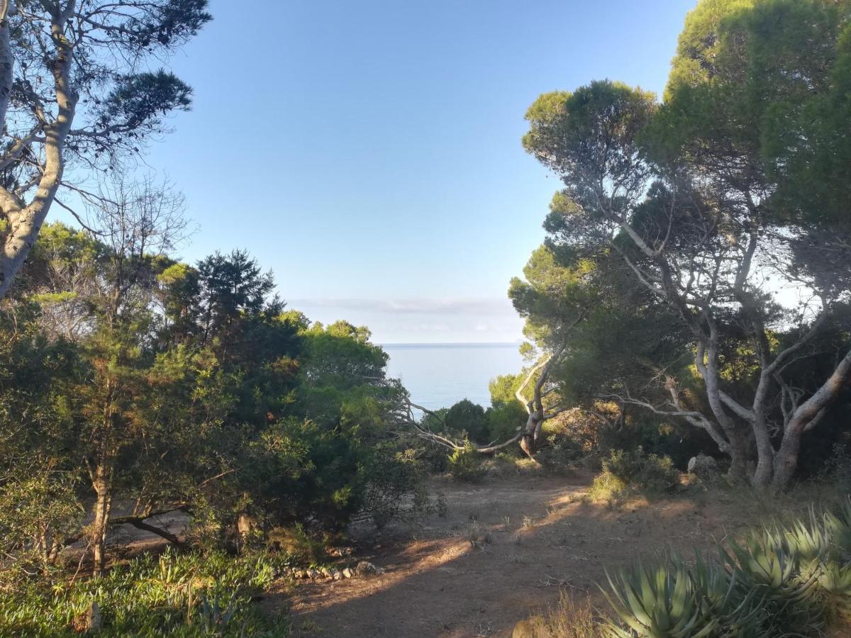 Villa Buonumore Porto Pino Esterno foto