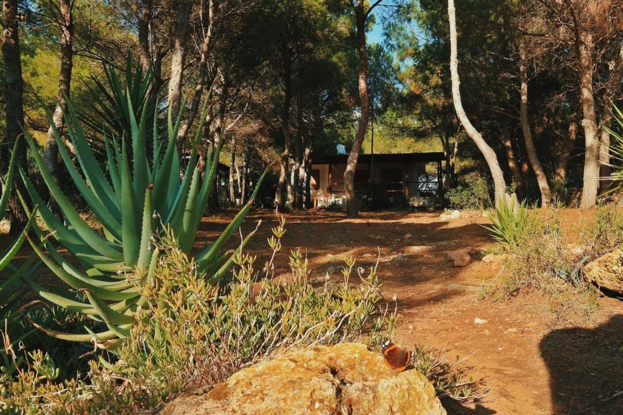 Villa Buonumore Porto Pino Esterno foto